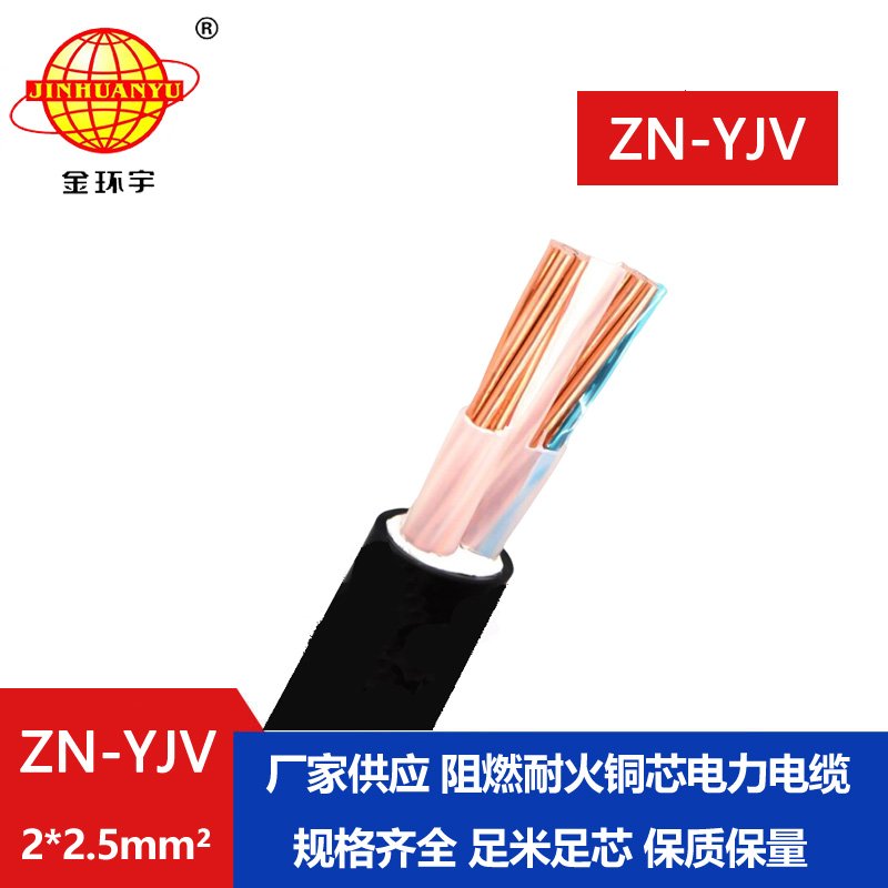 金環(huán)宇電線電纜 yjv電纜 二芯電力電纜 ZN-YJV 2X2