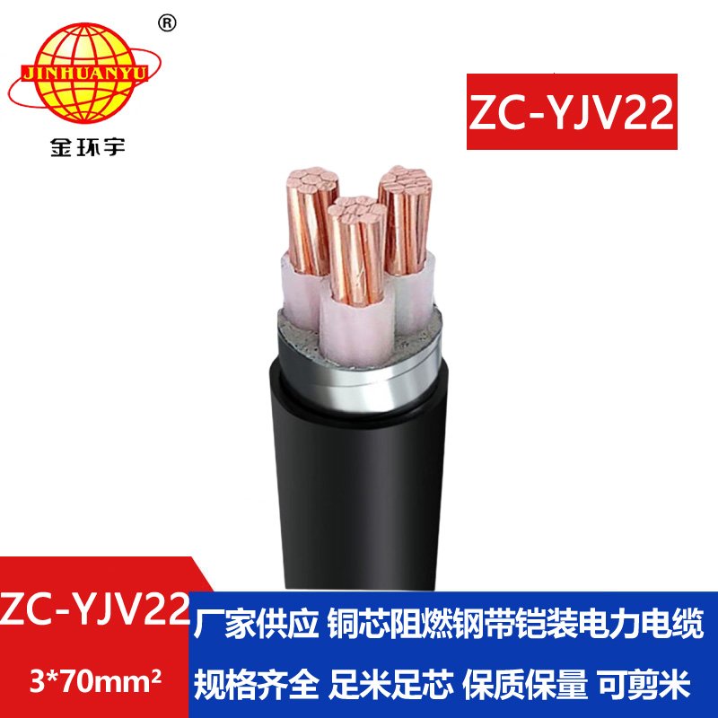 金環(huán)宇電纜 阻燃c類yjv22電纜 鎧裝電纜ZC-YJV22 3X