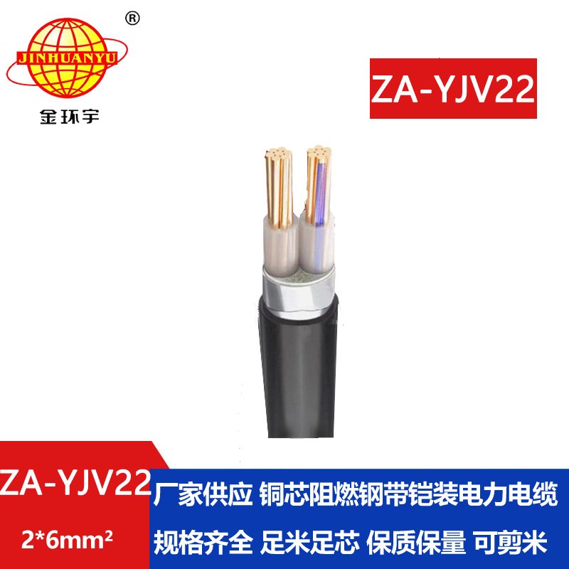 金環(huán)宇電纜 兩芯鎧裝電纜 A類阻燃電纜ZA-YJV22-2X6平方