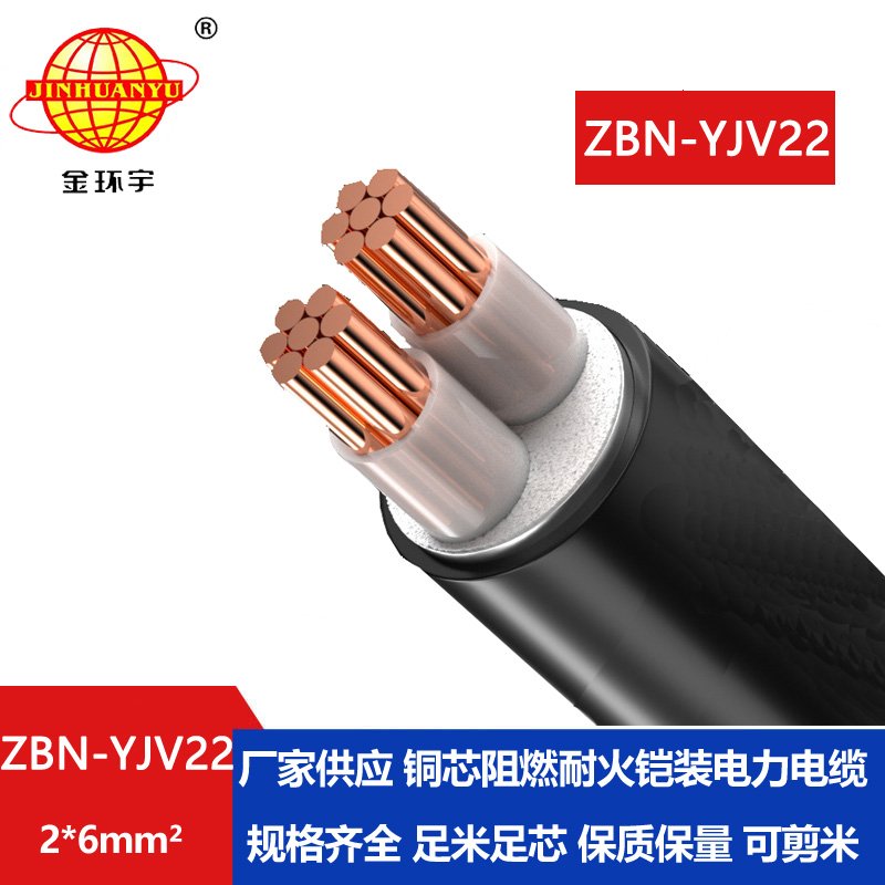 金環(huán)宇電線電纜 yjv22鎧裝電纜ZBN-YJV22-2X6平方 阻燃