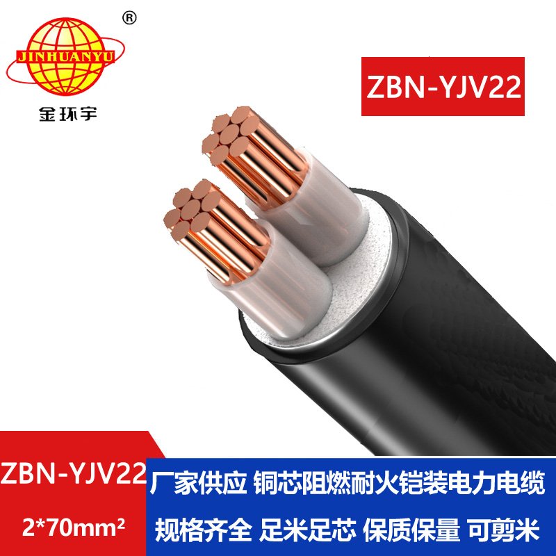 金環(huán)宇電線電纜 yjv22電纜ZBN-YJV22-2X70平方 B級阻燃